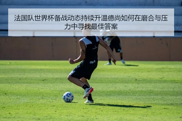 法国队世界杯备战动态持续升温德尚如何在磨合与压力中寻找最佳答案